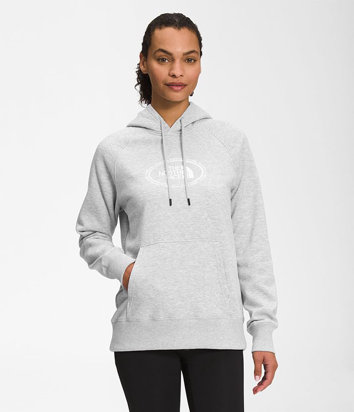 The North Face Womens Hoodie Novelty Graphic 459SEQYBR - Light Grey